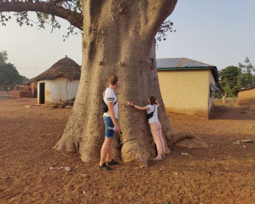 Ghana bij de Baobab boom