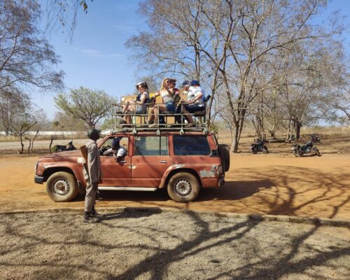 jeep safari in Mole Park